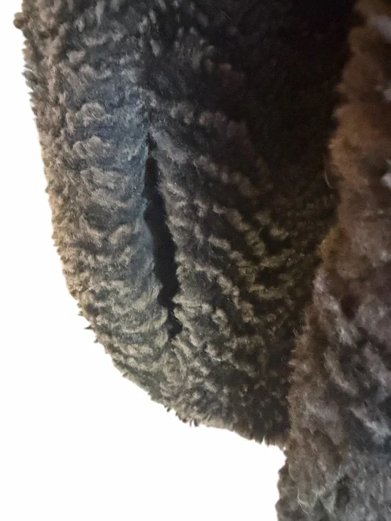 Late 90s/Early Y2K Gallery Plush Brown & Black Trim Faux Fur Hooded Lined Full Z - Picture 5 of 9